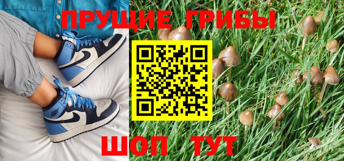 Галлюциногенные грибы GOLDEN TEACHER  Вход с VPN  Норильск 