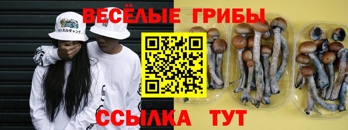 Псилоцибиновые грибы MAGIC MUSHROOMS Норильск