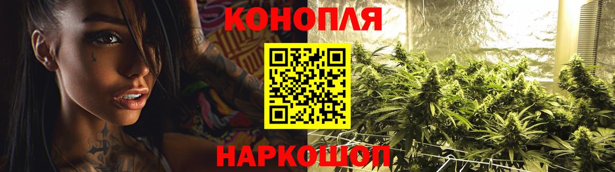 Конопля OG Kush Норильск